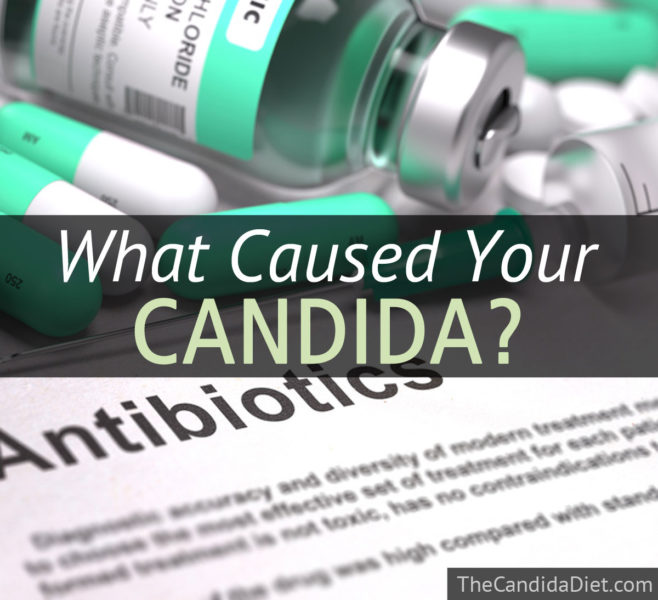 the-7-most-common-causes-of-candida-the-candida-diet