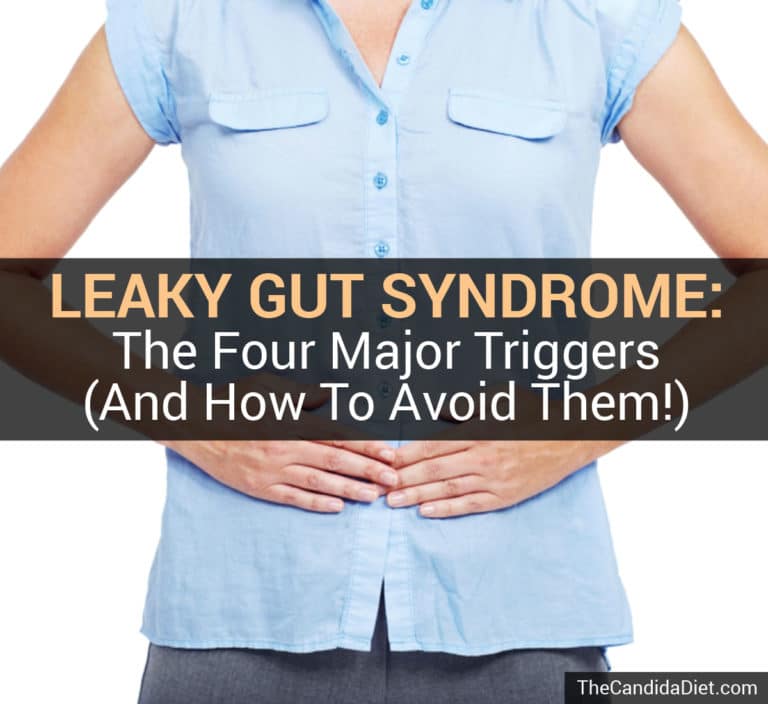 The Causes of Leaky Gut Syndrome - And How To Treat It » The Candida Diet