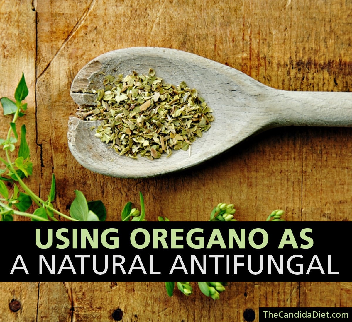 12-powerful-antifungal-essential-oils-that-fight-infection-antifungal