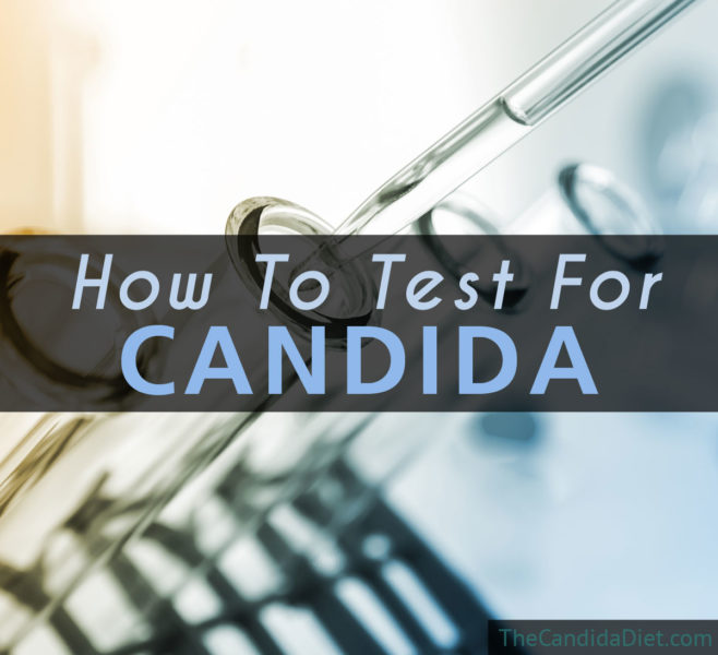 Testing For Candida » The Candida Diet