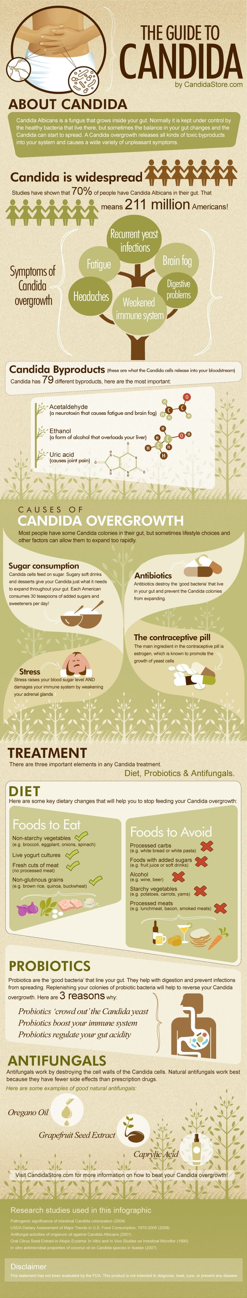 Infographic A Visual Guide To Candida The Candida Diet