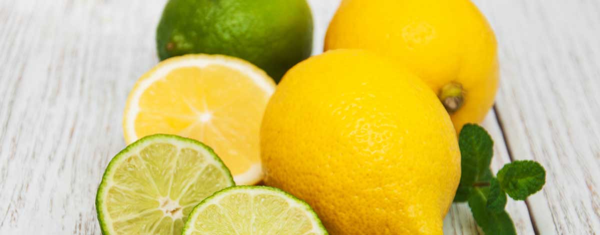 Fruits to eat on the Candida diet: Avocado, Lemons, Lime, and Olives